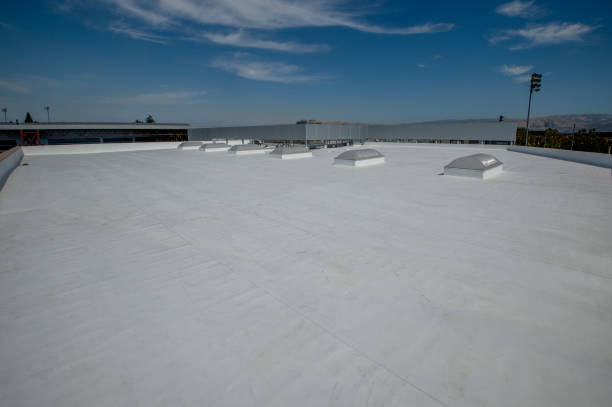 Best Roof Maintenance and Cleaning  in Brady, TX